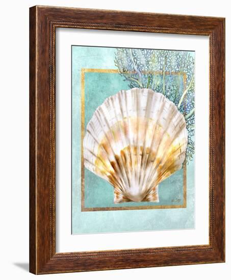 Scallop Shell and Coral-Lori Schory-Framed Art Print