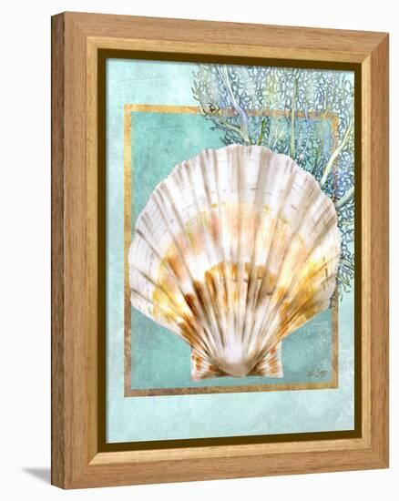 Scallop Shell and Coral-Lori Schory-Framed Stretched Canvas