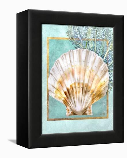 Scallop Shell and Coral-Lori Schory-Framed Stretched Canvas