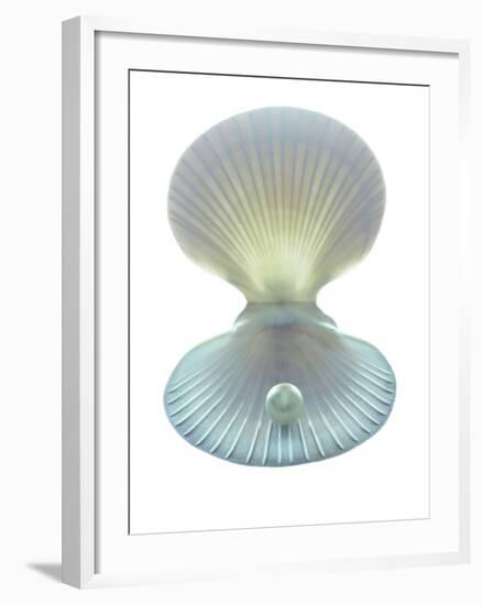 Scallop Shell And Pearl-Gavin Kingcome-Framed Photographic Print