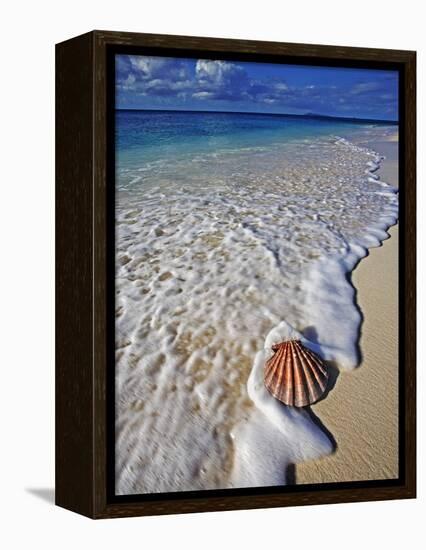 Scallop Shell in the Surf-Martin Harvey-Framed Premier Image Canvas