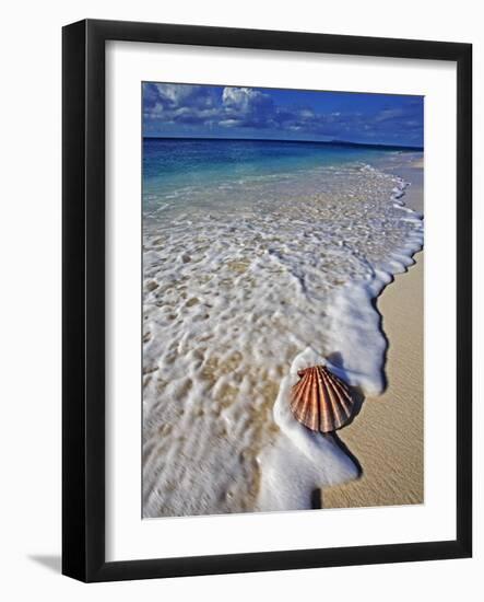 Scallop Shell in the Surf-Martin Harvey-Framed Photographic Print