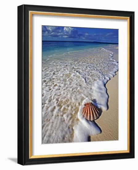 Scallop Shell in the Surf-Martin Harvey-Framed Photographic Print