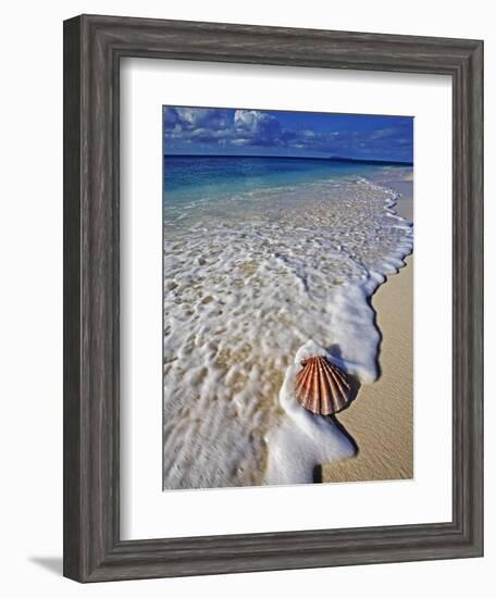 Scallop Shell in the Surf-Martin Harvey-Framed Photographic Print