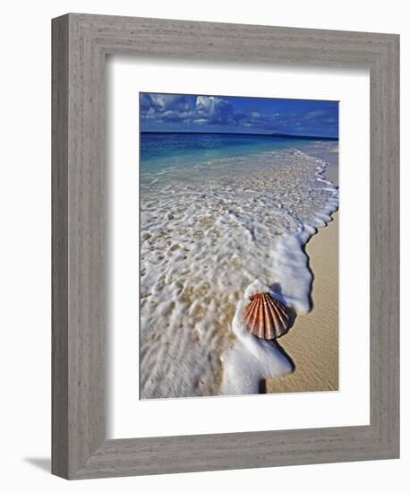 Scallop Shell in the Surf-Martin Harvey-Framed Photographic Print