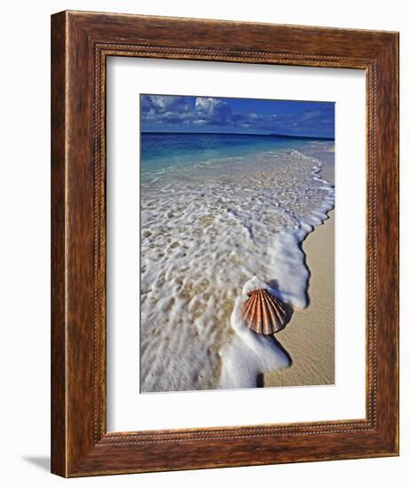 Scallop Shell in the Surf-Martin Harvey-Framed Photographic Print