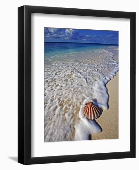 Scallop Shell in the Surf-Martin Harvey-Framed Photographic Print