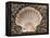 Scallop Shell on Beach, Normandy, France-Philippe Clement-Framed Premier Image Canvas