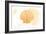 Scallop Shell - Yellow - Coastal Icon-Lantern Press-Framed Art Print