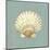 Scallop Shell-Lisa Danielle-Mounted Art Print