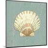 Scallop Shell-Lisa Danielle-Mounted Giclee Print