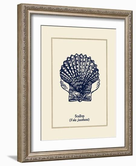 Scallop Shell-Gregory Gorham-Framed Art Print