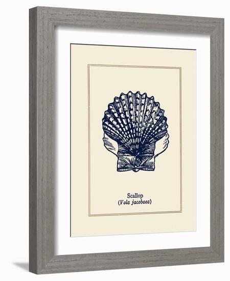 Scallop Shell-Gregory Gorham-Framed Art Print