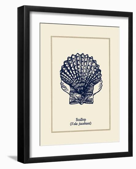 Scallop Shell-Gregory Gorham-Framed Art Print