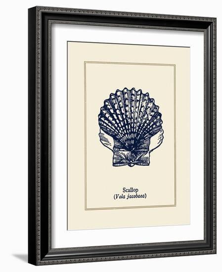 Scallop Shell-Gregory Gorham-Framed Art Print