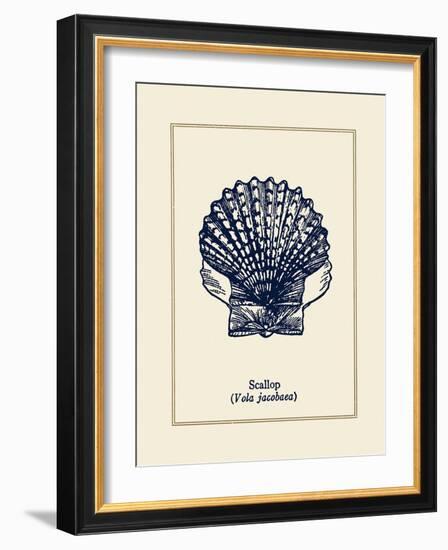 Scallop Shell-Gregory Gorham-Framed Art Print