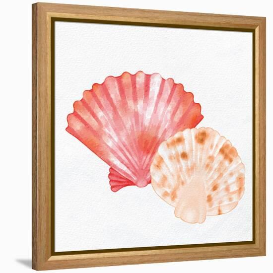 Scallop Shells 1-Kimberly Allen-Framed Stretched Canvas