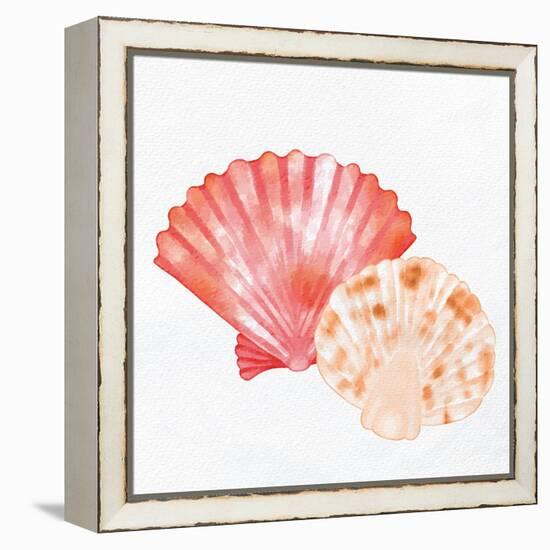 Scallop Shells 1-Kimberly Allen-Framed Stretched Canvas