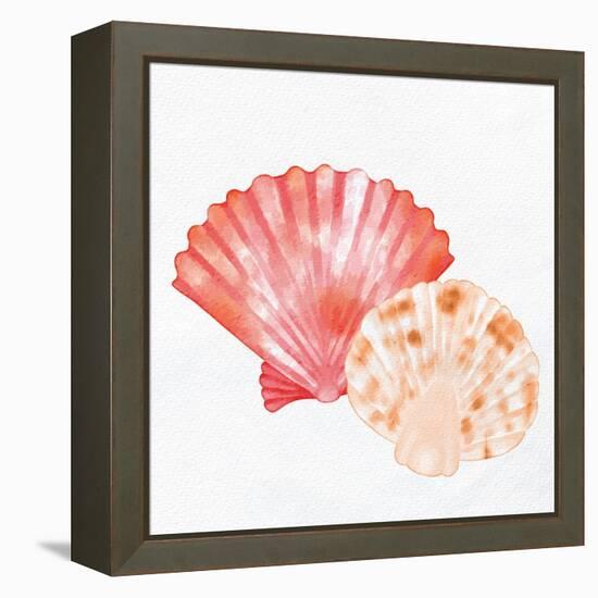 Scallop Shells 1-Kimberly Allen-Framed Stretched Canvas