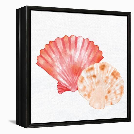 Scallop Shells 1-Kimberly Allen-Framed Stretched Canvas