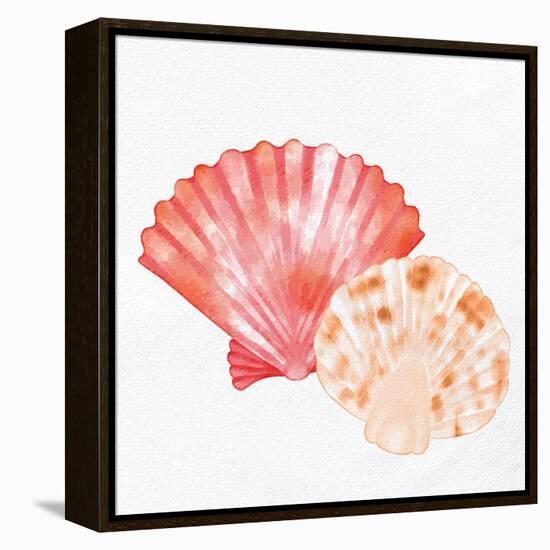 Scallop Shells 1-Kimberly Allen-Framed Stretched Canvas