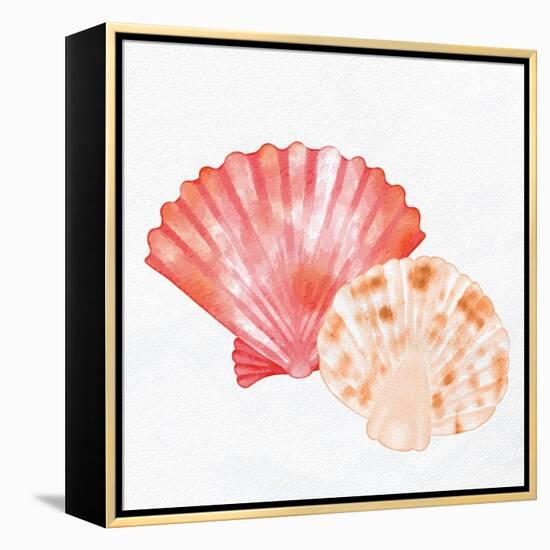 Scallop Shells 1-Kimberly Allen-Framed Stretched Canvas
