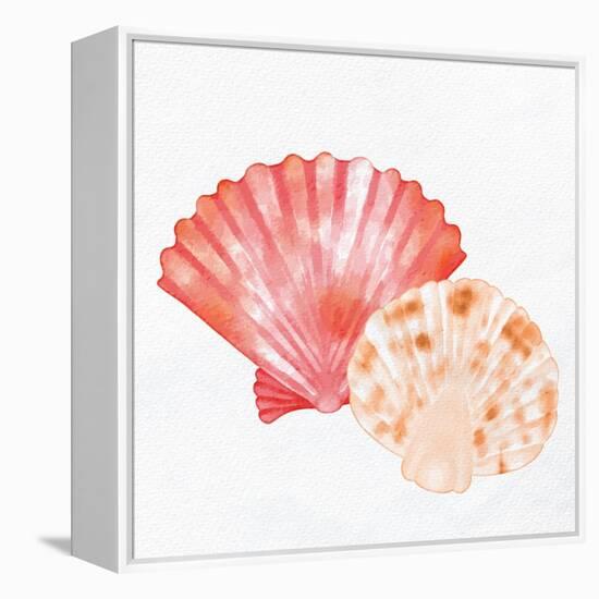 Scallop Shells 1-Kimberly Allen-Framed Stretched Canvas