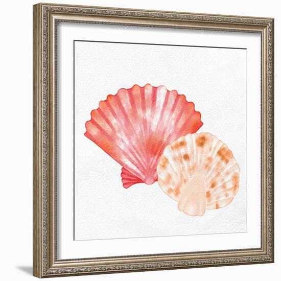 Scallop Shells 1-Kimberly Allen-Framed Art Print