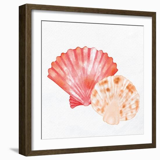 Scallop Shells 1-Kimberly Allen-Framed Art Print