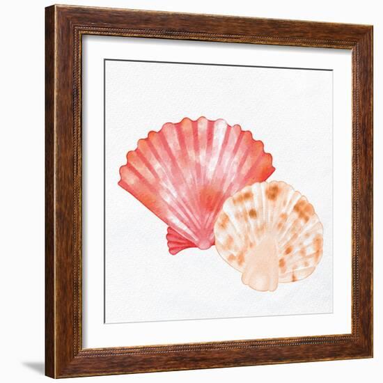 Scallop Shells 1-Kimberly Allen-Framed Art Print