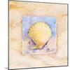 Scallop-Paul Brent-Mounted Art Print