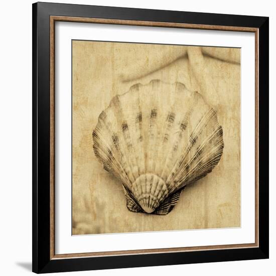 Scallop-John Seba-Framed Photo