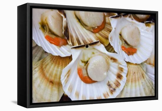 Scallops in a City Center Fish Market-Jon Hicks-Framed Premier Image Canvas