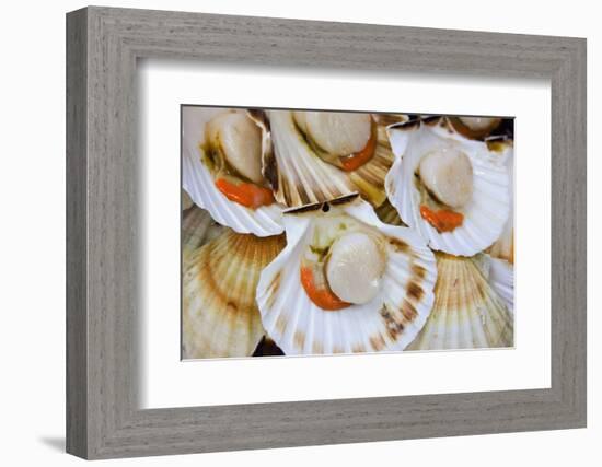 Scallops in a City Center Fish Market-Jon Hicks-Framed Photographic Print