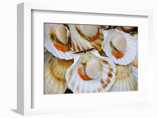 Scallops in a City Center Fish Market-Jon Hicks-Framed Photographic Print