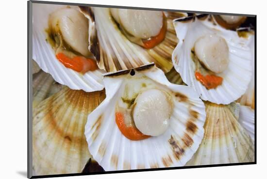 Scallops in a City Center Fish Market-Jon Hicks-Mounted Photographic Print