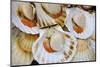 Scallops in a City Center Fish Market-Jon Hicks-Mounted Photographic Print