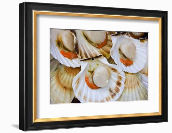 Scallops in a City Center Fish Market-Jon Hicks-Framed Photographic Print