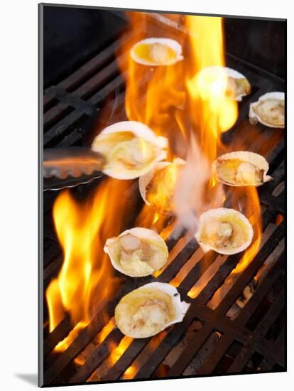 Scallops on Barbeque-David Wall-Mounted Photographic Print