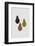 Scandi Pears-Orara Studio-Framed Photographic Print