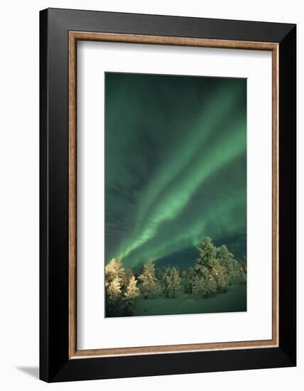 Scandinavia, Finland, Lapland, Ivalo, The Aurora borealis-Daisy Gilardini-Framed Photographic Print