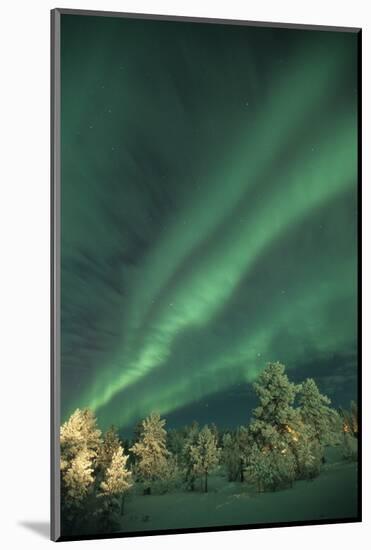 Scandinavia, Finland, Lapland, Ivalo, The Aurora borealis-Daisy Gilardini-Mounted Photographic Print