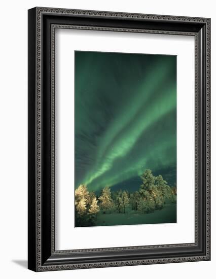 Scandinavia, Finland, Lapland, Ivalo, The Aurora borealis-Daisy Gilardini-Framed Photographic Print