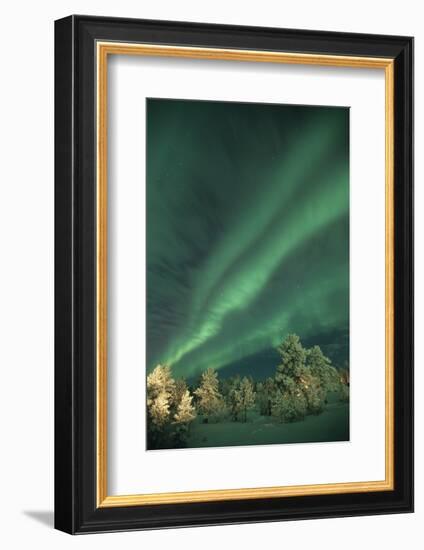 Scandinavia, Finland, Lapland, Ivalo, The Aurora borealis-Daisy Gilardini-Framed Photographic Print