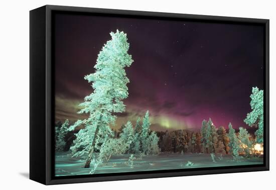 Scandinavia, Finland, Lapland, Kakslauttanen, The Aurora borealis-Daisy Gilardini-Framed Premier Image Canvas