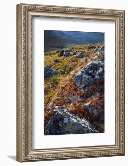 Scandinavia, Norway, Jotunheimen, National-Park, Mountains, Rocks, Nature-Rainer Mirau-Framed Photographic Print