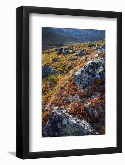 Scandinavia, Norway, Jotunheimen, National-Park, Mountains, Rocks, Nature-Rainer Mirau-Framed Photographic Print