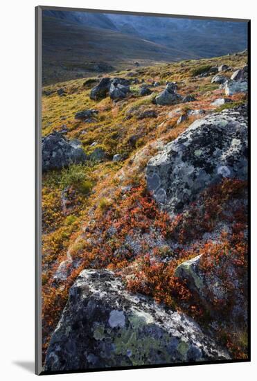 Scandinavia, Norway, Jotunheimen, National-Park, Mountains, Rocks, Nature-Rainer Mirau-Mounted Photographic Print