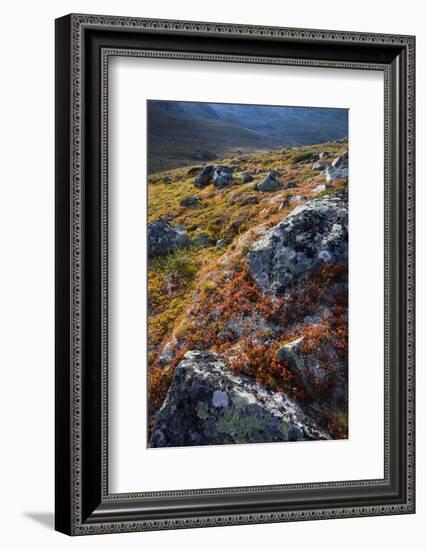 Scandinavia, Norway, Jotunheimen, National-Park, Mountains, Rocks, Nature-Rainer Mirau-Framed Photographic Print