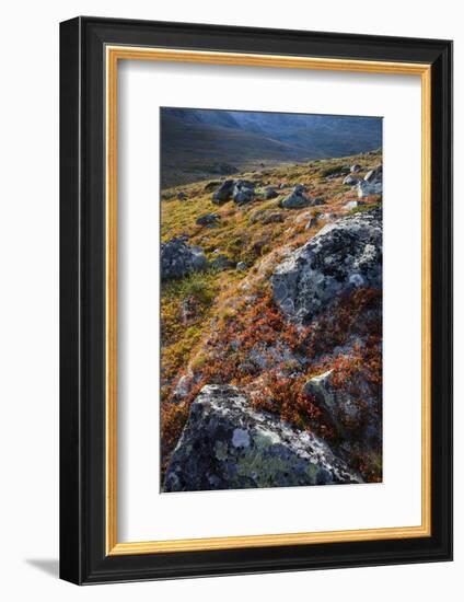 Scandinavia, Norway, Jotunheimen, National-Park, Mountains, Rocks, Nature-Rainer Mirau-Framed Photographic Print